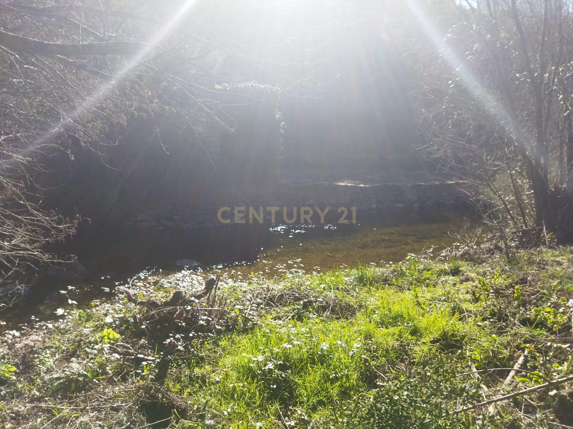 Quintinha em Sesmo, Junto á praia fluvial, Sarzedas - Image 19