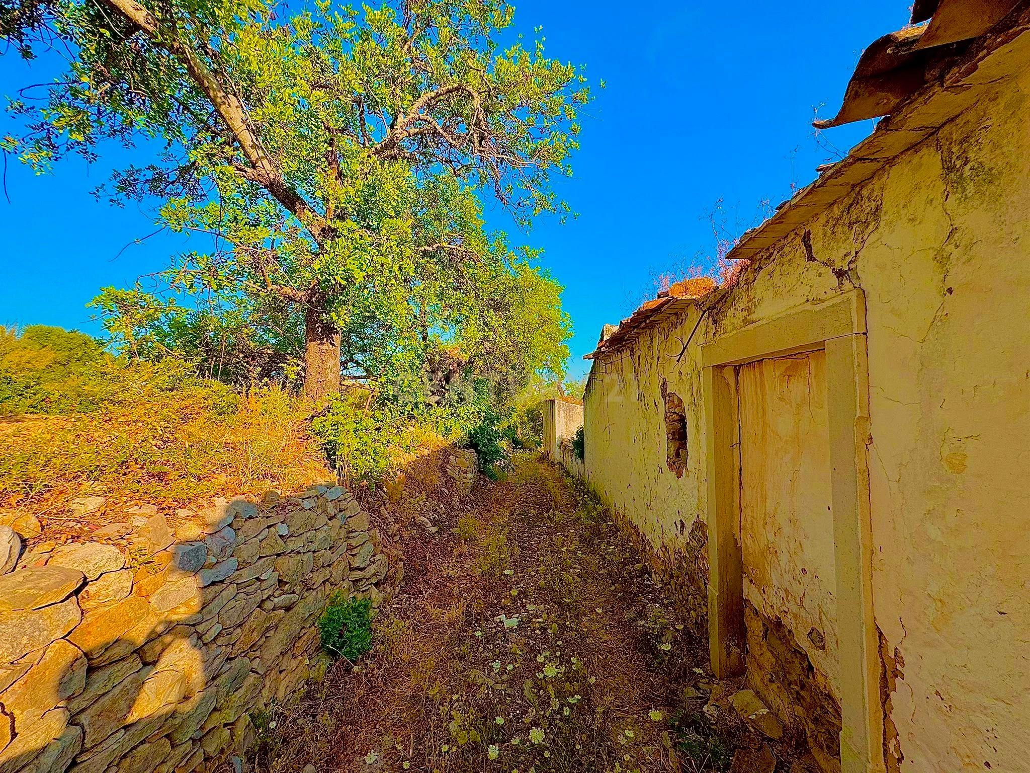 Fotografia 6 de TERRENO COM RUÍNA E VISTA PANORAMICA | SAMBADA A 15 MINUTOS DE FARO