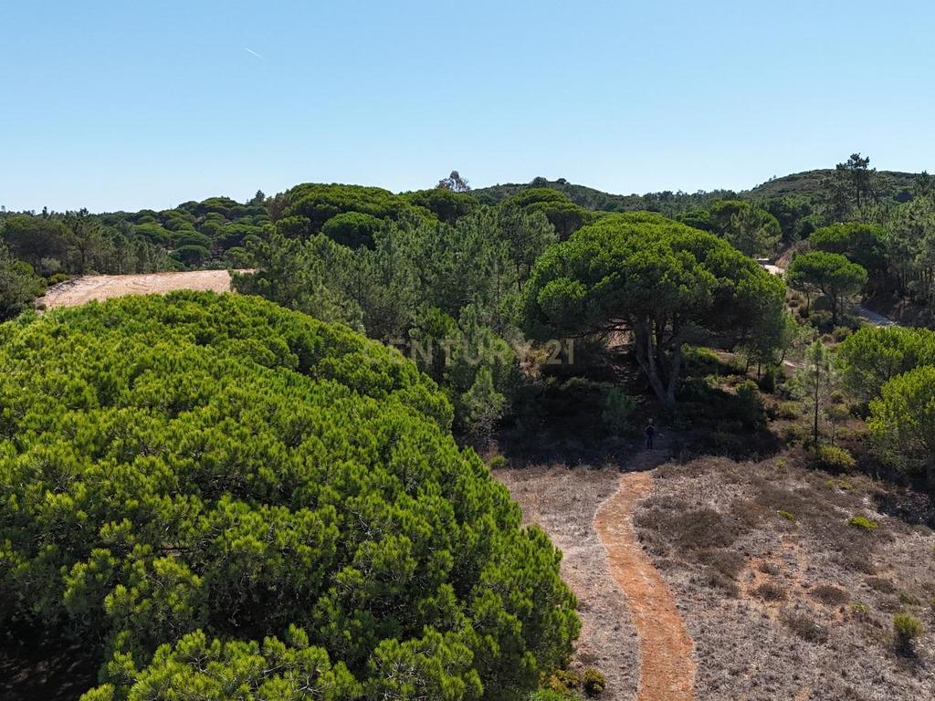 Terreno com área de 10.000m2 com projeto aprovado perto da Aldeia do Meco - Image 2