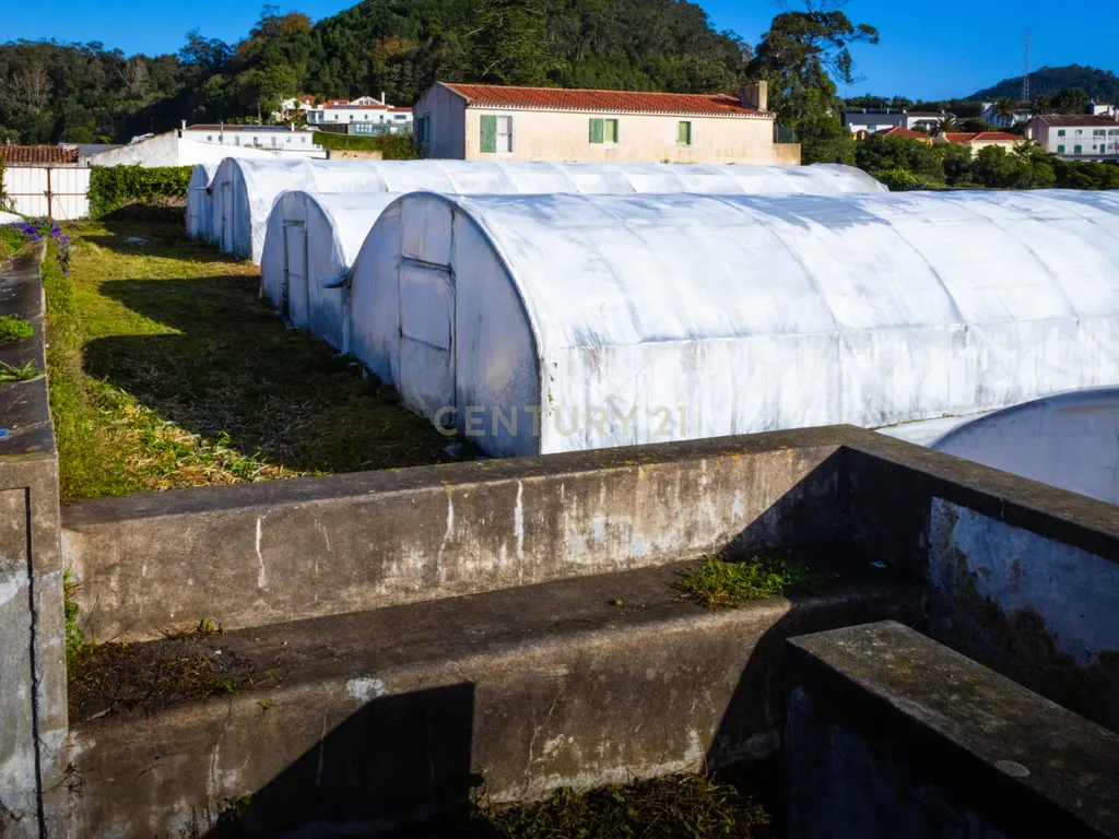 Propriedade Única com Estufas de Ananases e Potencial Urbano — Abelheira de Baixo, São Roque - Açores - Image 10