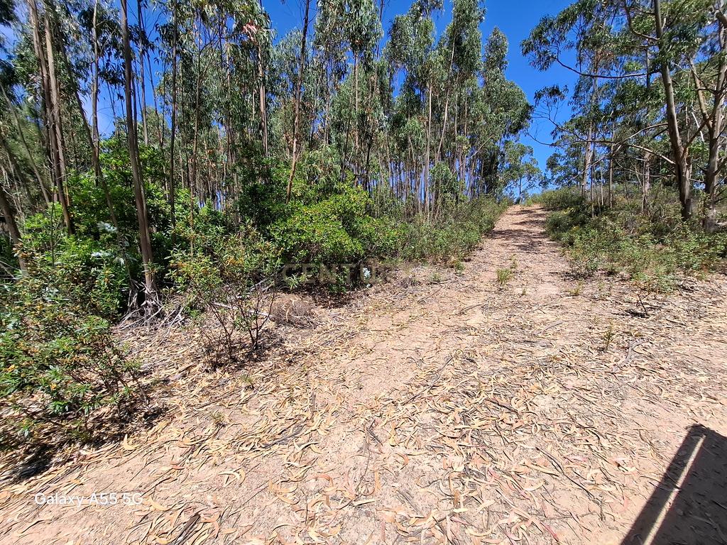 Terreno com construção rural - Marmelete. - Image 8