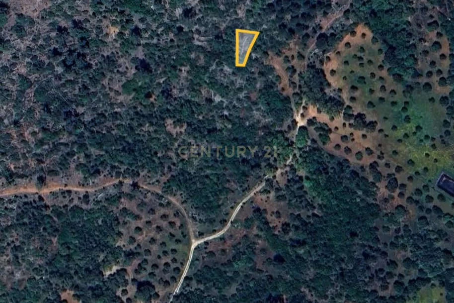 Terreno Rústico – Serra de Aire - Image 3