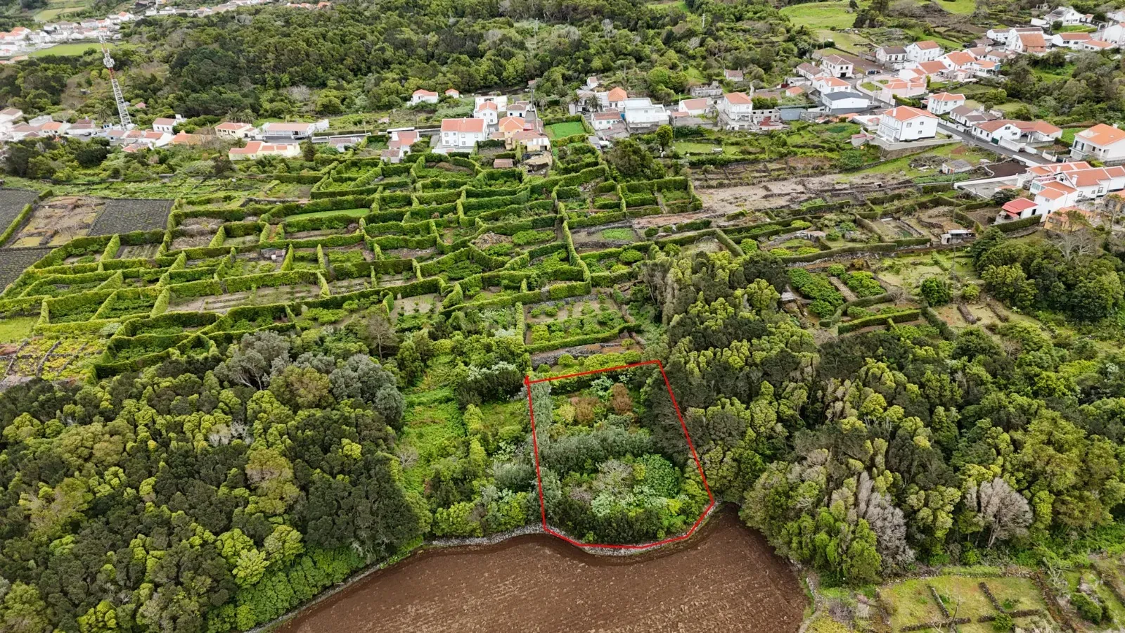 Fotografia 5 de Pomar localizado na zona dos Biscoitos, Ilha Terceira, com características ideais para utilização agrícola.