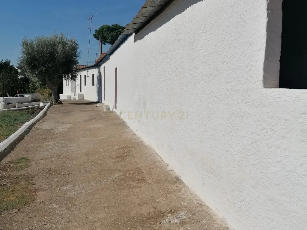 ALBERNOA-BEJA - ALENTEJO- Quinta com 1750 m2. Casa de 229 m2 Cozinha-Sala -3 quartos . Garagem. - Image 39