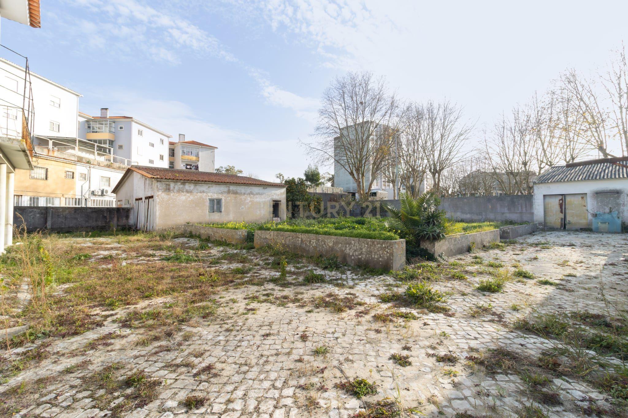 Investimento Único no Coração da Marinha Grande - Image 8