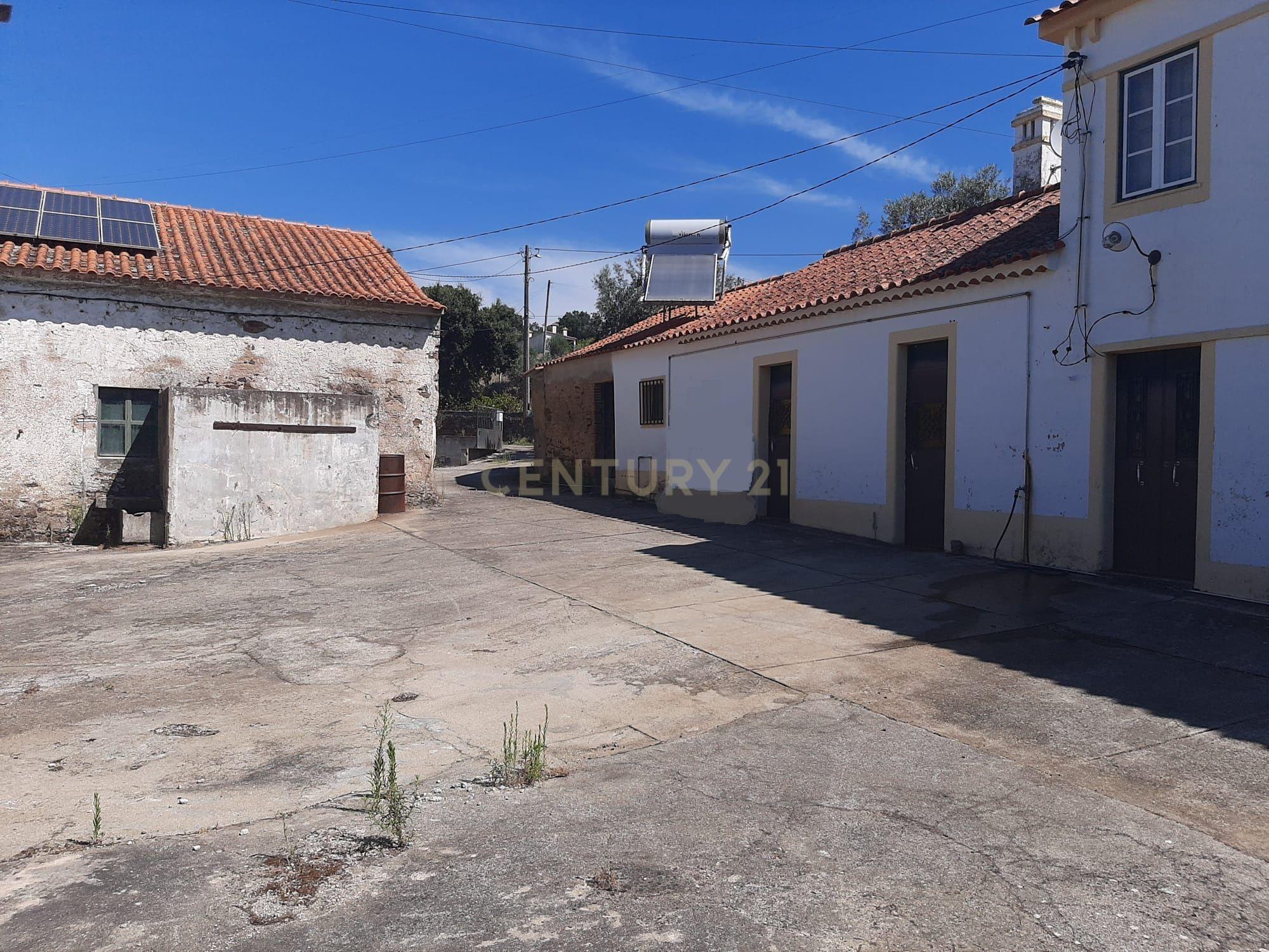 Quintinha com moradia de 10 assoalhadas e anexos, lote de 19.060m2, Mouriscas, Abrantes - Image 7