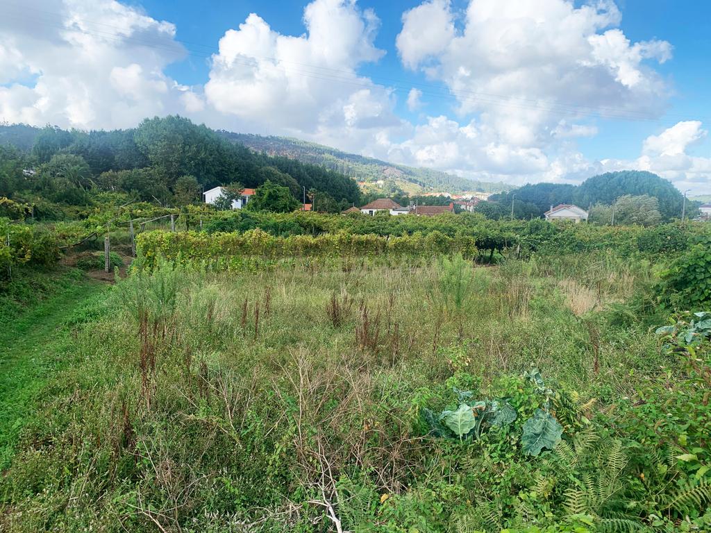 TERRENO PARA CONSTRUÇÃO | BALTAR | PAREDES | 1240,50 m2 - Image 7