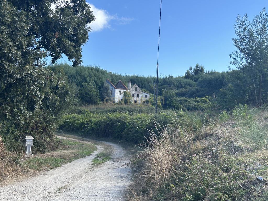 Quinta com Ruína - Oportunidade de Negócio - Image 14