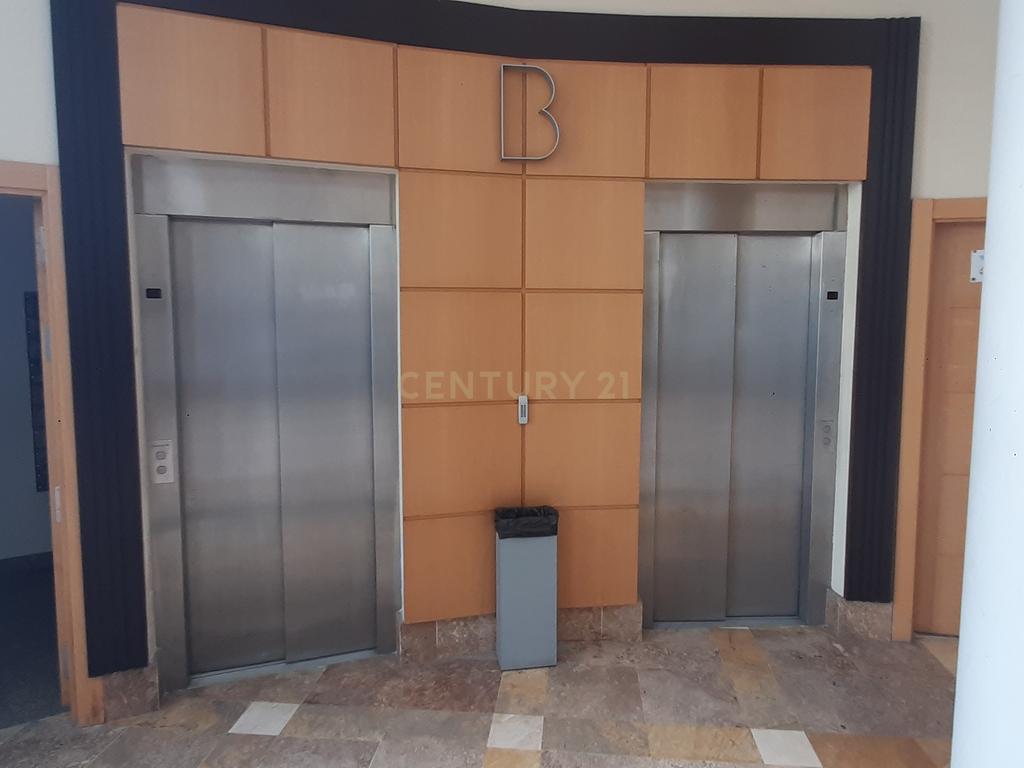 undefined - Image 5
