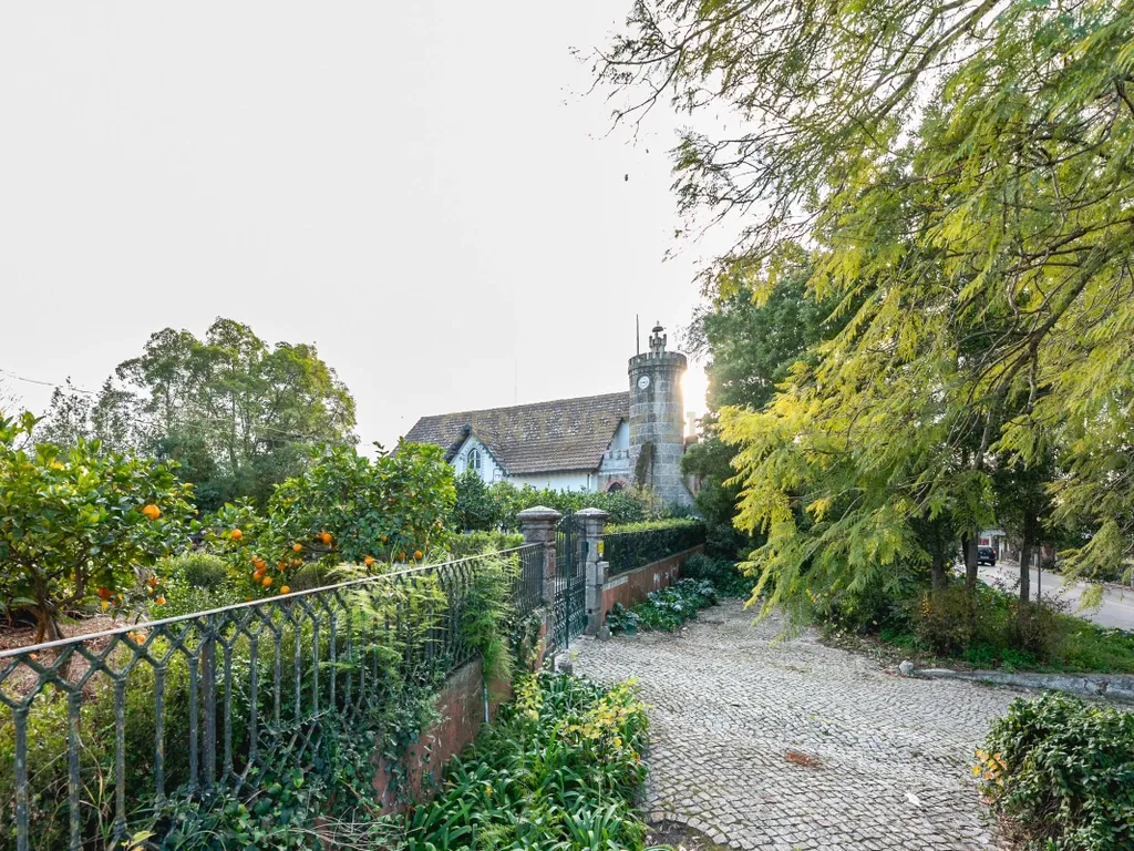 Quinta das Baldrucas - Image 4