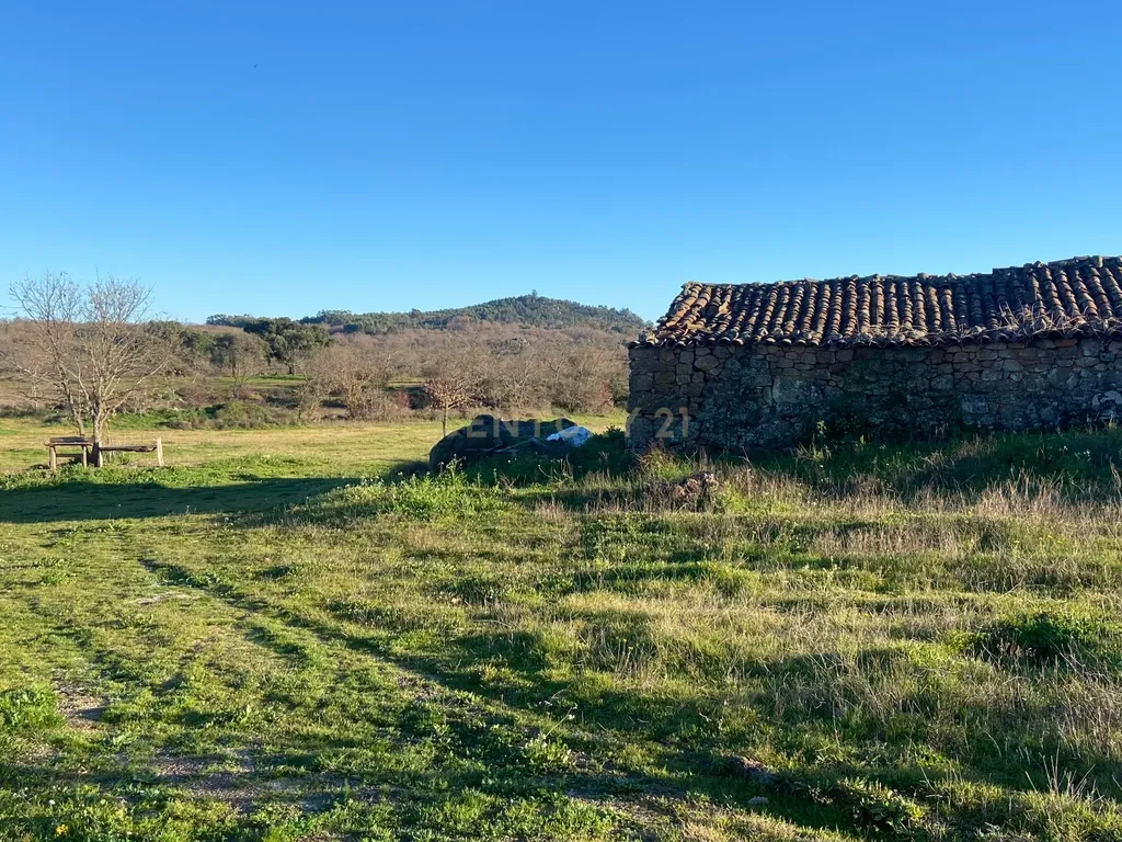 Magnífico terreno rústico com 1,9 hectares - Penamacor - Image 4