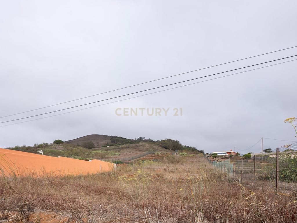undefined - Image 4