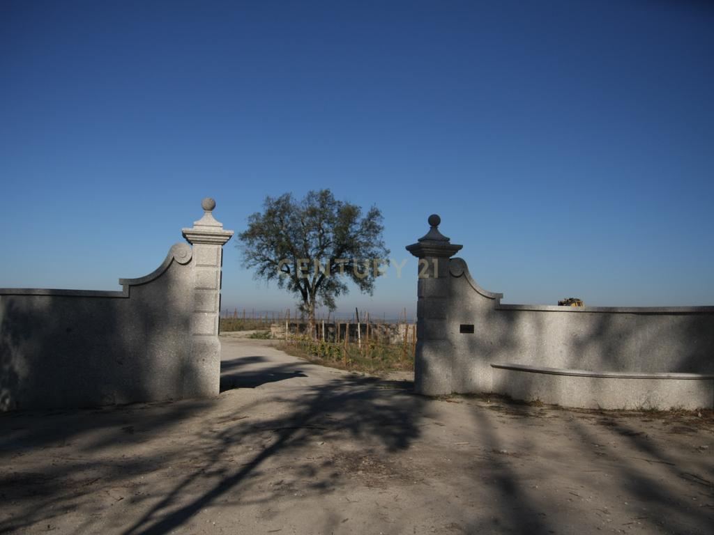 Quinta da Cerqueda, Santo Tirso - Image 3