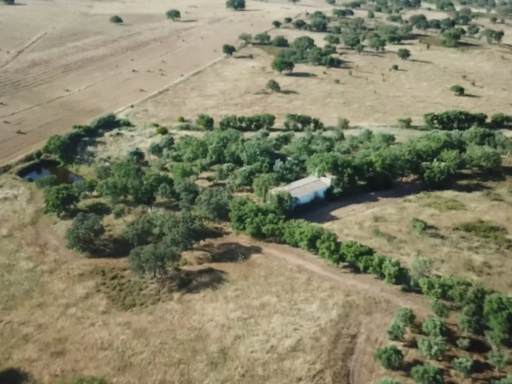 Propriedade com mais de 18 hectares de terreno rústico, localizado no Baixo Alentejo, concelho de Almodôvar - Image 14