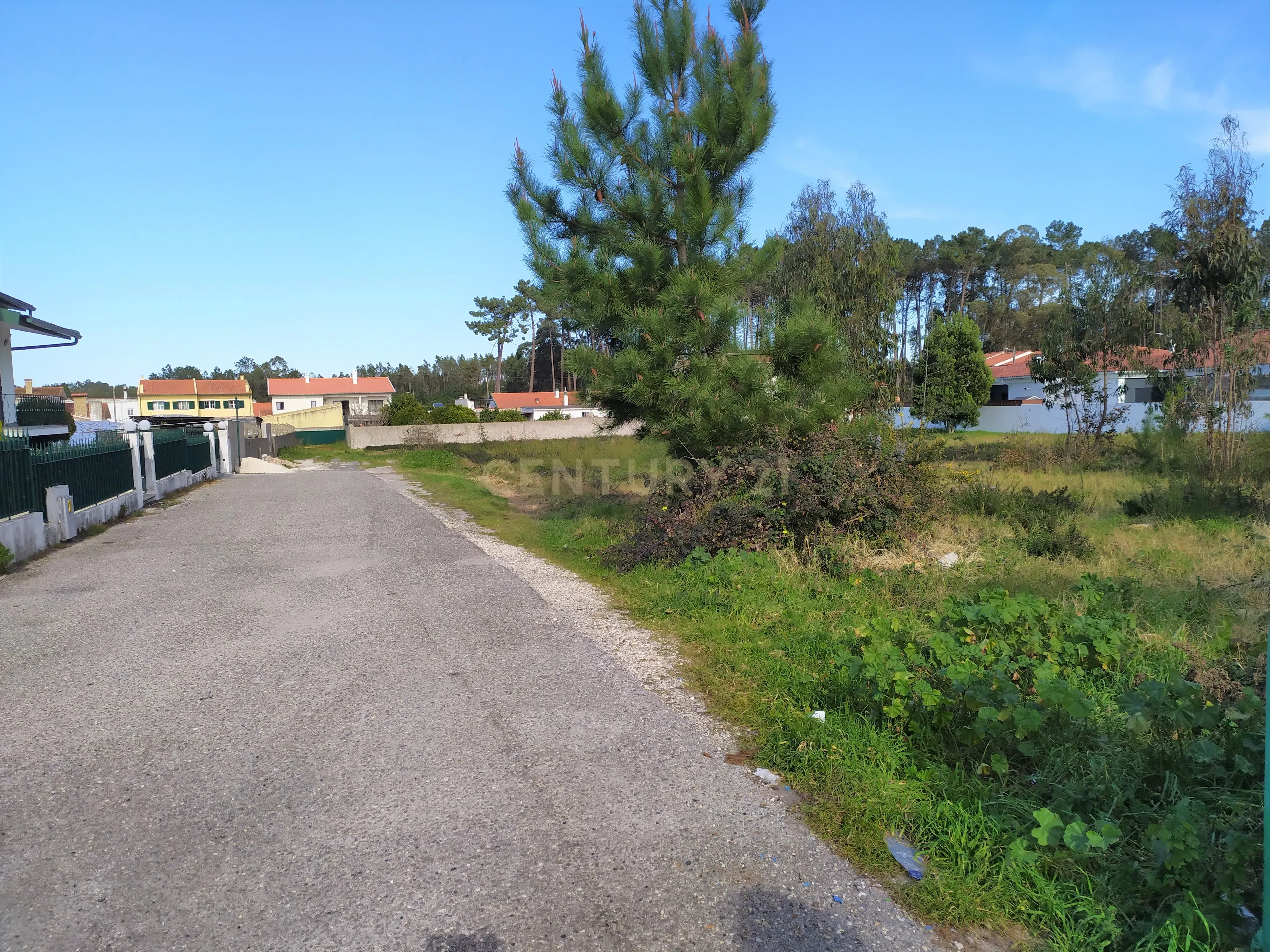 Terreno | Viabilidade Construção| Marinha Grande - Image 6