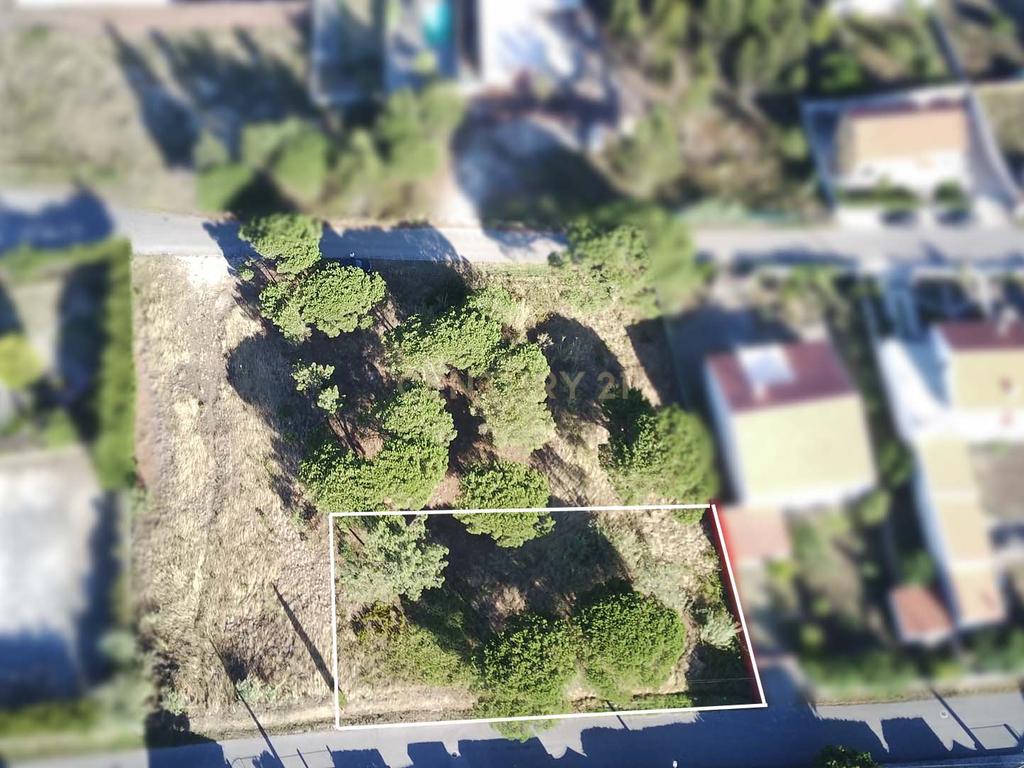 Terreno com viabilidade de construção - Nadadouro - Image 4