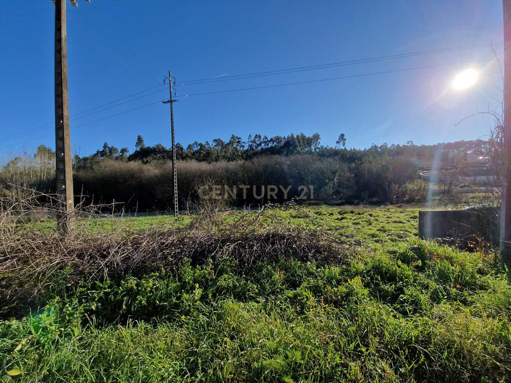 Terreno para construção de Moradia em Cartaria - Image 4