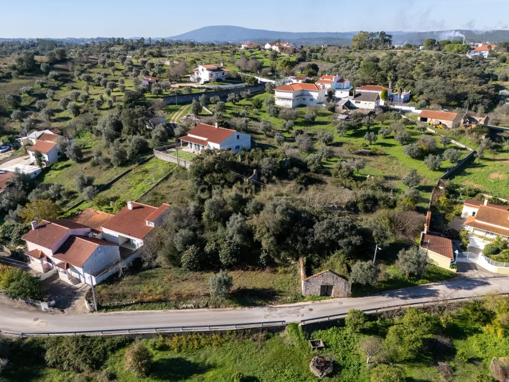 Terreno Urbano com Ruínas e Árvores de Fruto - 2.280m² - Longra, Tomar - Image 13
