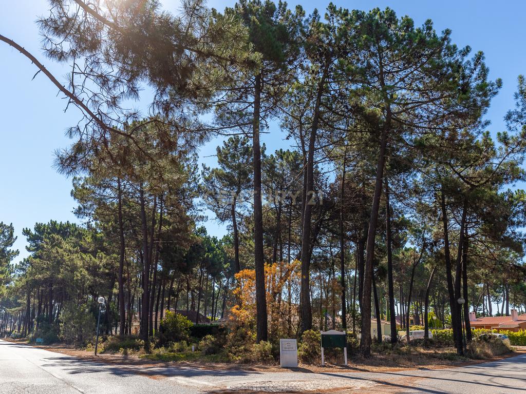 Terreno para Moradia de Luxo com Piscina e Jardim na Herdade da Aroreira - Image 14