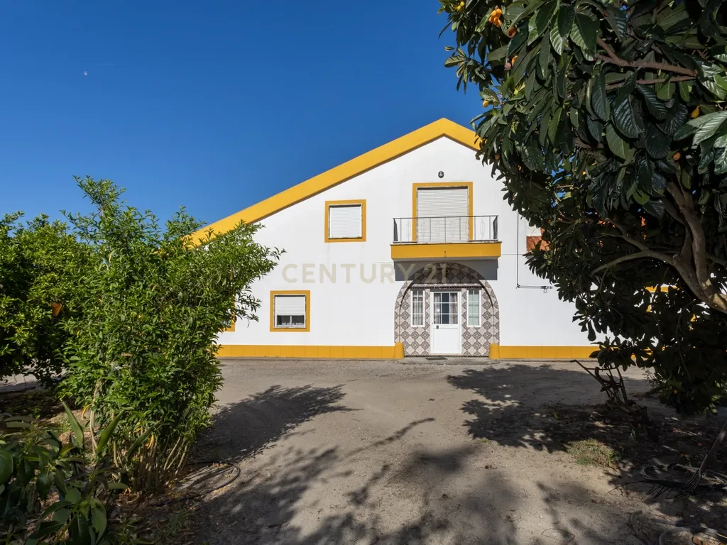 Quinta com Moradia T9 - Santo Isidro de Pegões - Montijo - Image 10