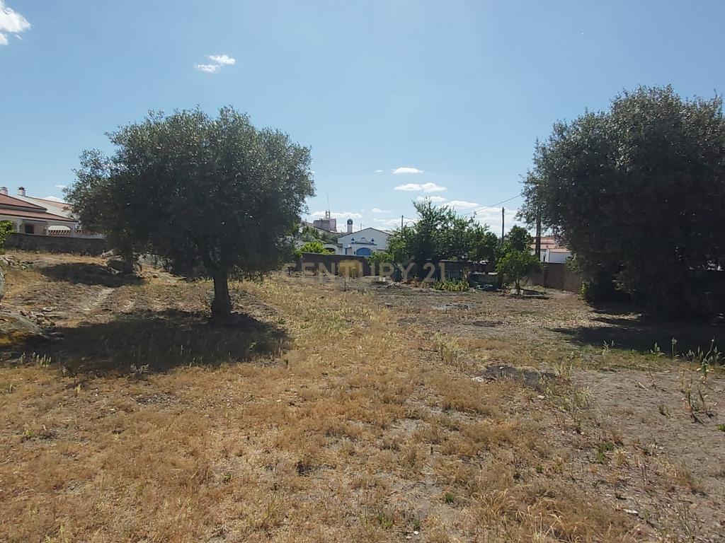 PEDROGÃO ALENTEJO - EXCELENTE TERRENO PARA CONSTRUÇÃO - Image 22