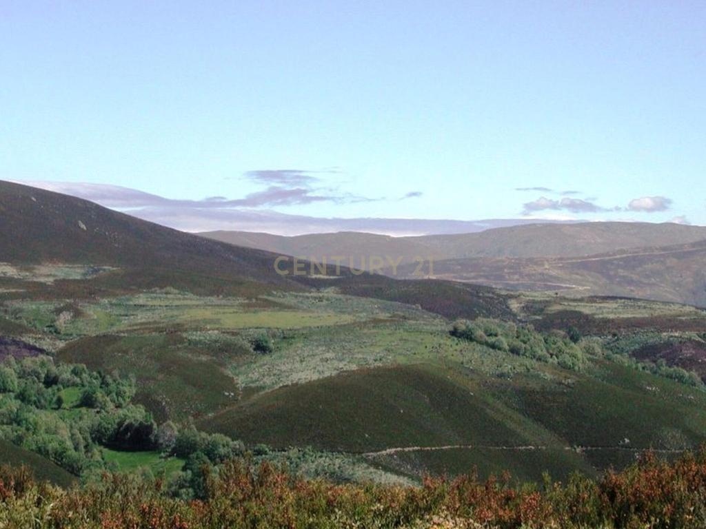 Moradia T4 em Moimenta Vinhais Bragança - Image 18
