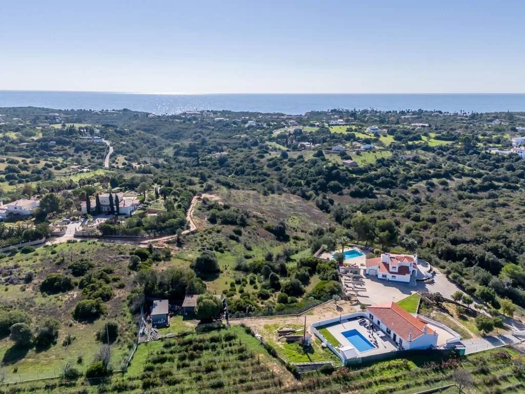 Terreno para agricultura em Vale D'el Rei - Image 5