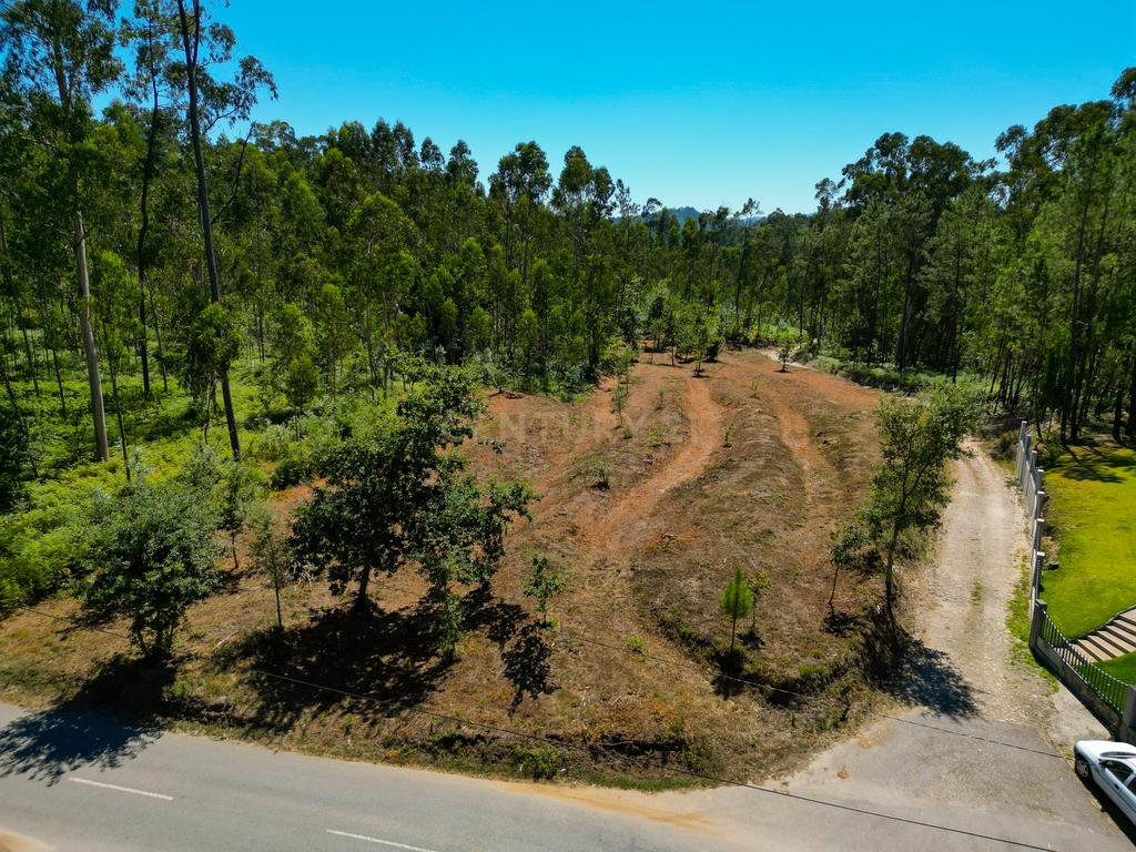 Lote de construção de 720 m2 em Friastelas no concelho Ponte de Lima - Image 6