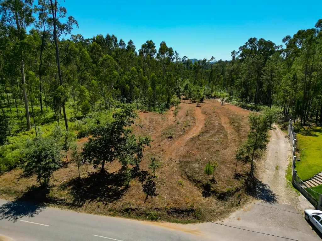 Lote de construção de 720 m2 em Friastelas no concelho Ponte de Lima - Image 6