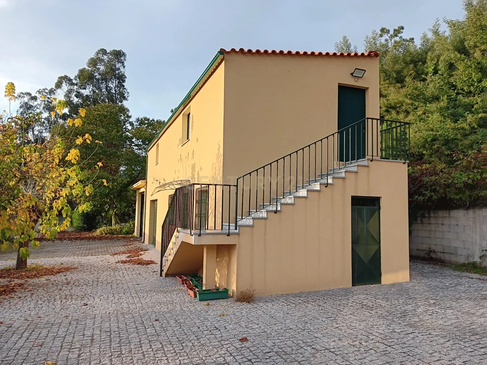 Quinta em Ribeira, Campo de Besteiros, Tondela. - Image 23