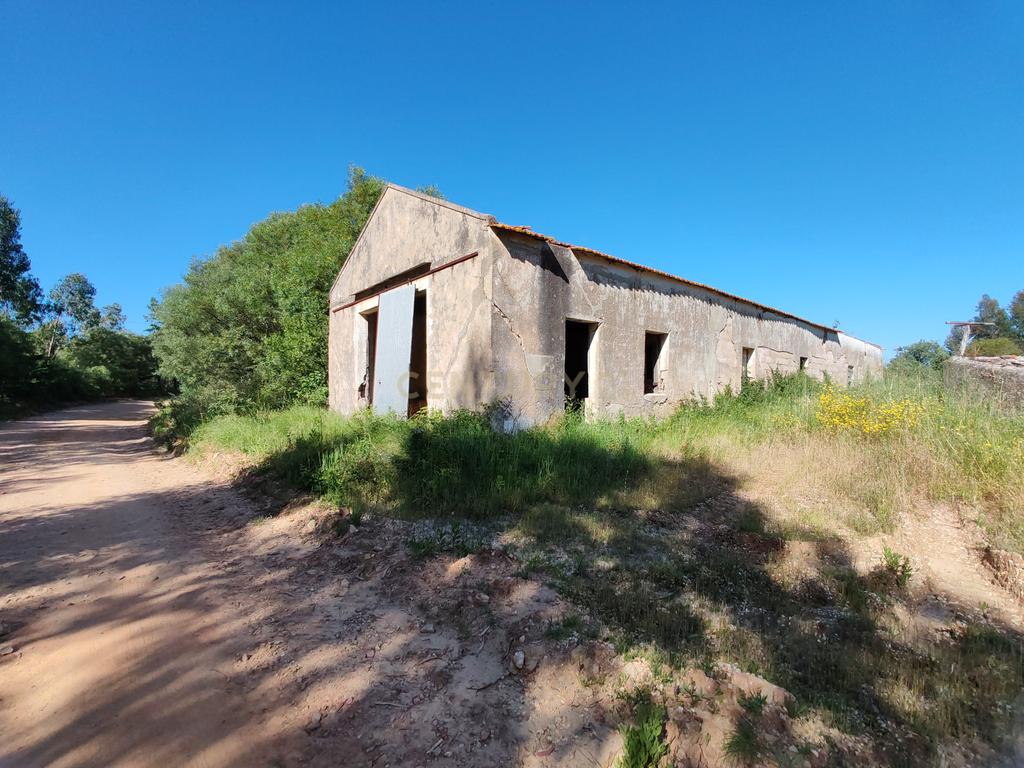  Terreno com 21 hectares - Mafra - Image 3