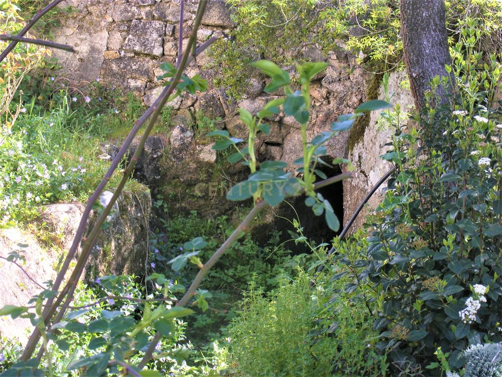 Quinta Típica Alentejana, Licença de Turismo Rural, Arrendamento, Arraiolos - Image 24