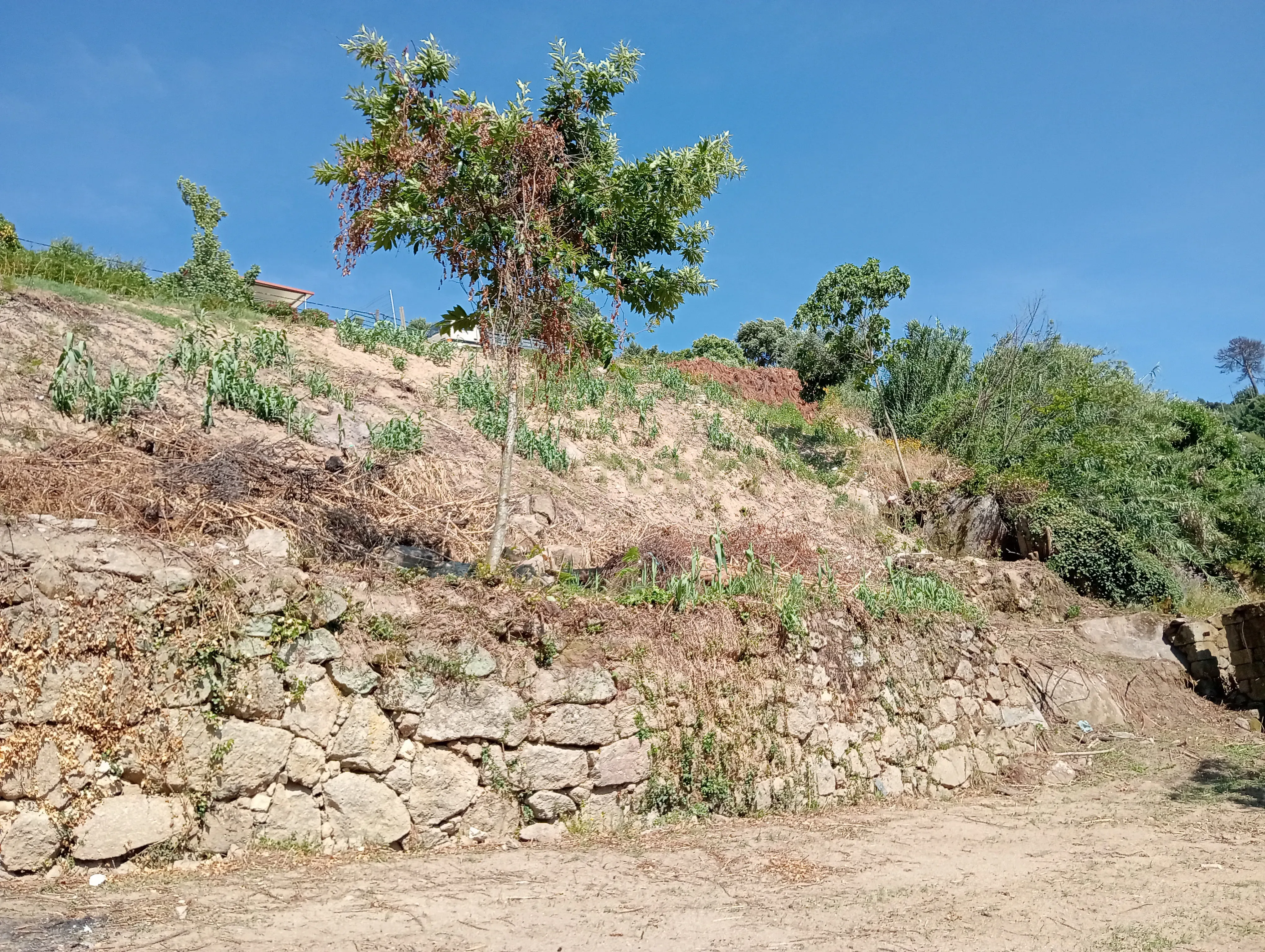 Moradia T2 à venda em Frende, Baião — foto 25