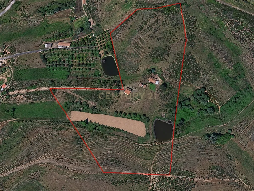 Casa de Campo com 2,53 Hectares de Terreno Misto – S. Marcos da Serra / Silves - Image 2