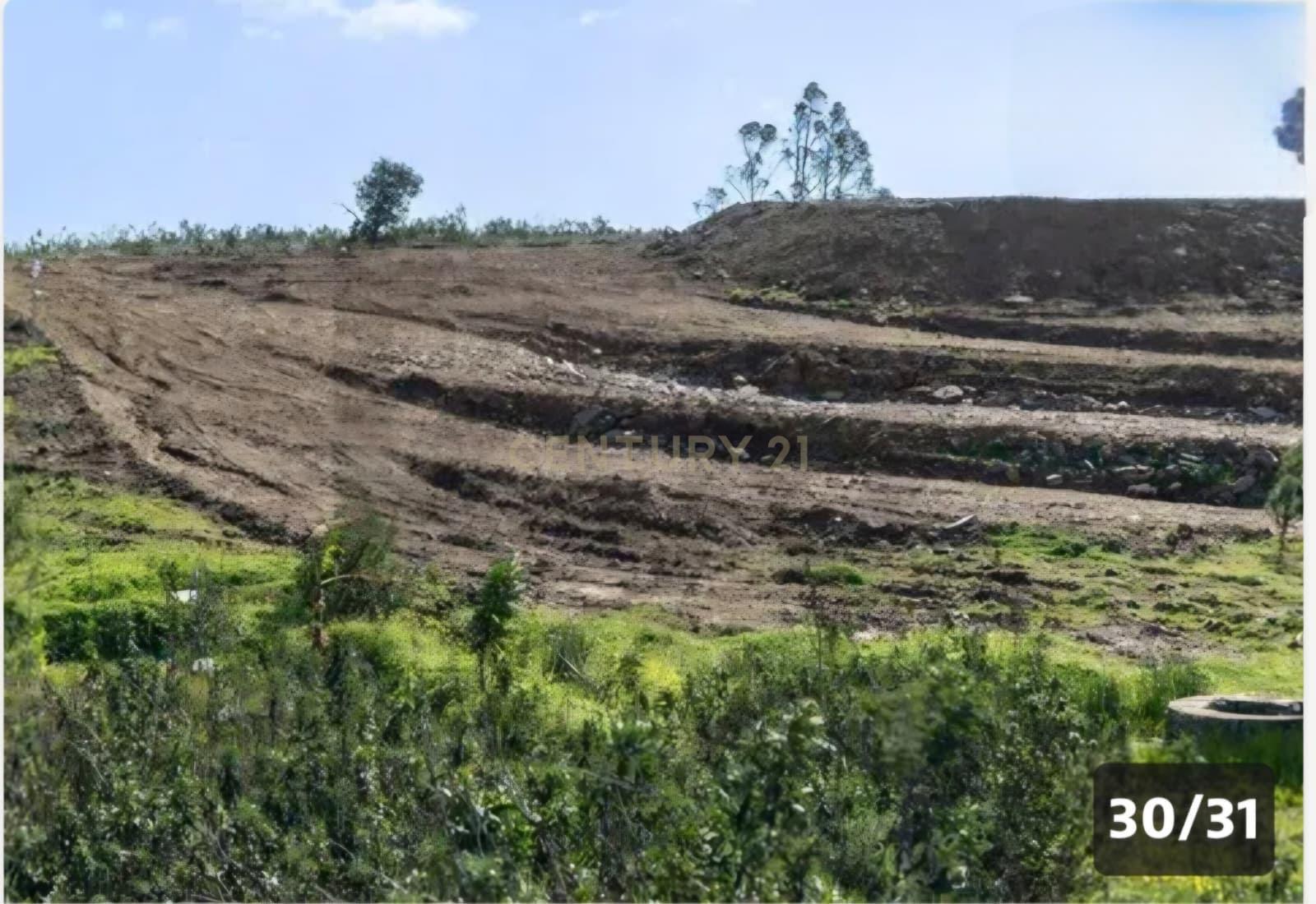 Fotografia 11 de Terreno com 6.360 m² em Portela Alta de Cima, Odeleite, Castro Marim – Algarve