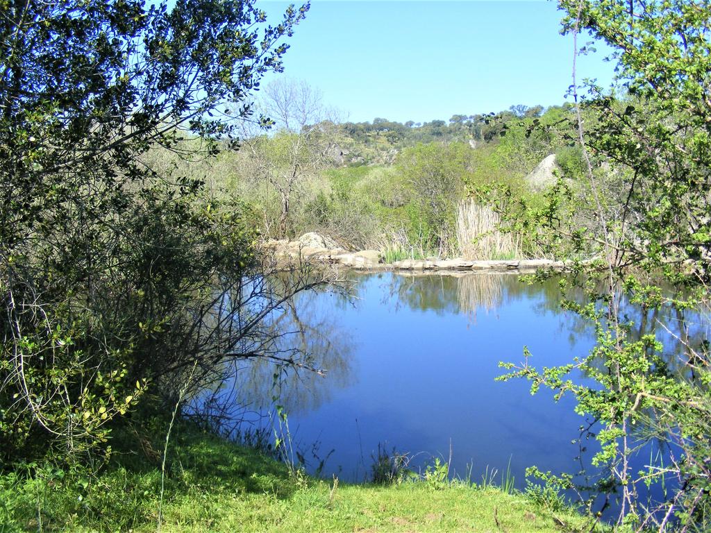 Quinta Típica Alentejana, Licença de Turismo Rural, Arrendamento, Arraiolos - Image 37