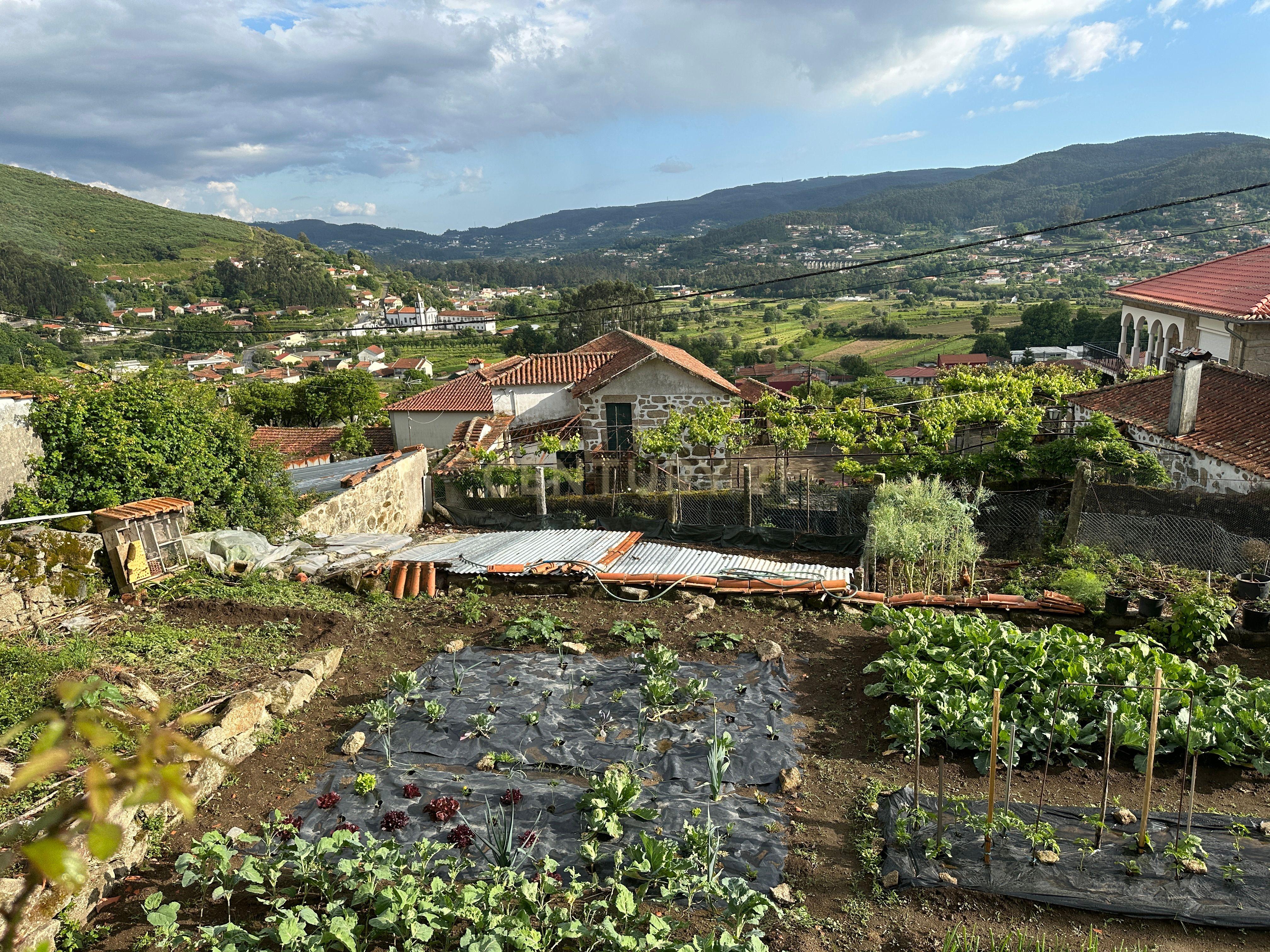 Fotografia 7 de Terreno de Sonho em Carvoeiro, Viana do Castelo Perto da Praia