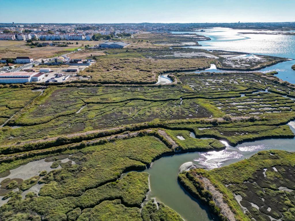 Terreno 20,18ha, Montijo - Seixalinho, para actividades de piscicultura e agricultura - Image 2