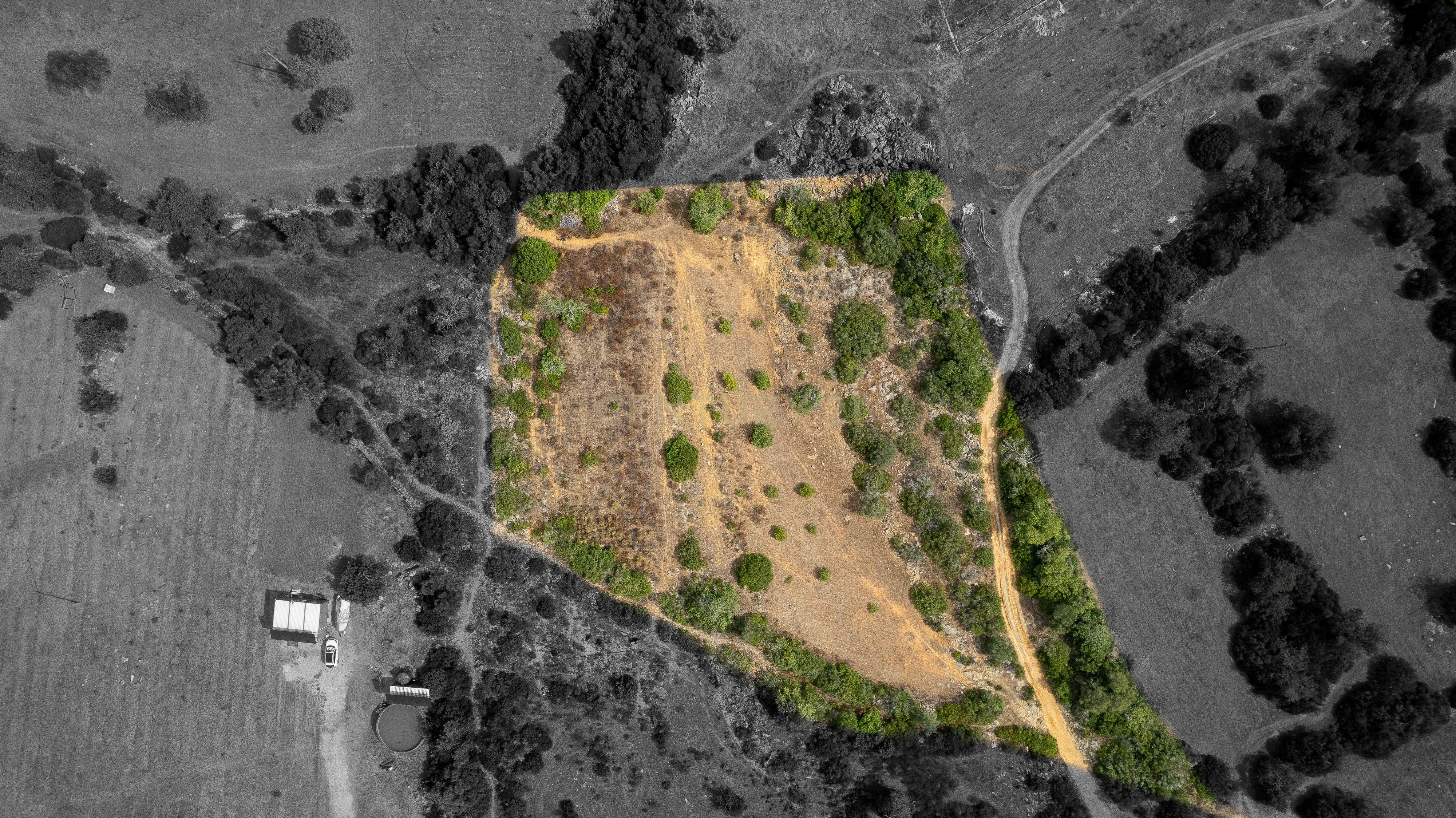 Fotografia 5 de Terreno Rústico de 3.650 m² entre Pechão e Estoi