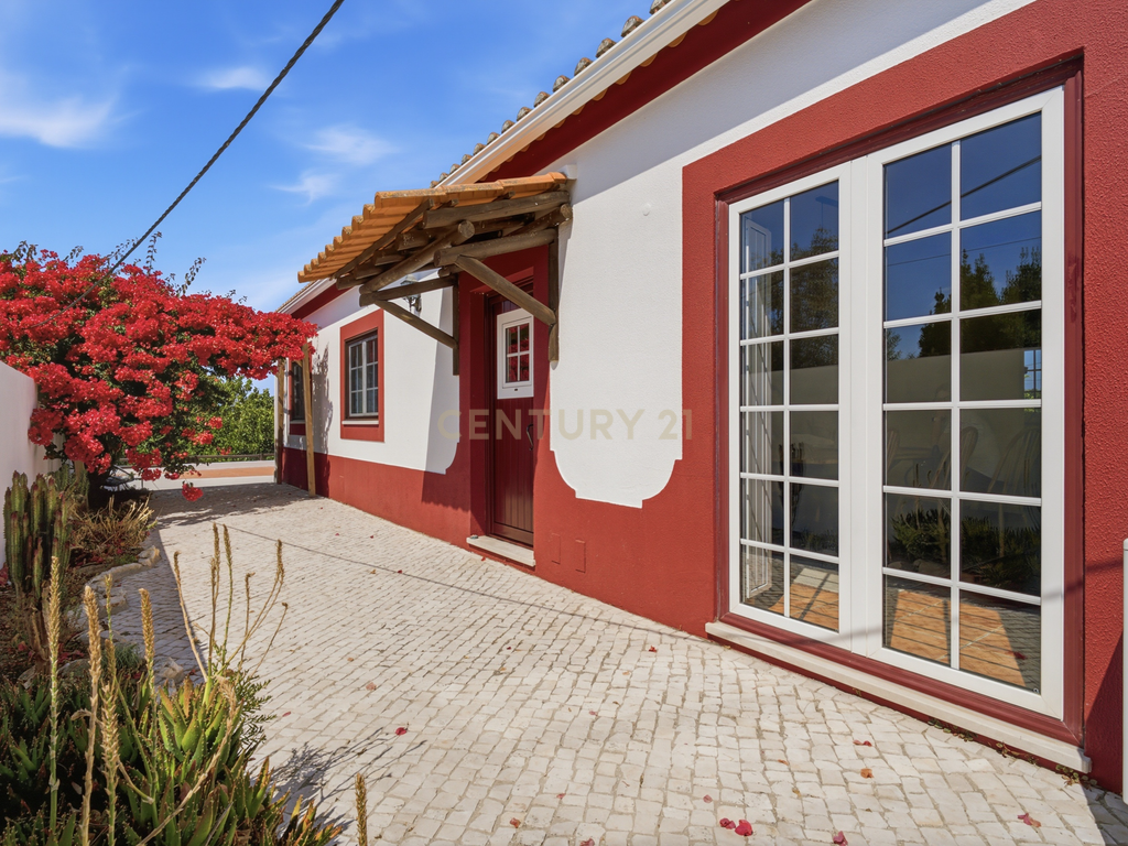 Moradia T3+1 de Charme em Santarém: Privacidade Absoluta, Fibra e Proximidade a Lisboa - Image 3