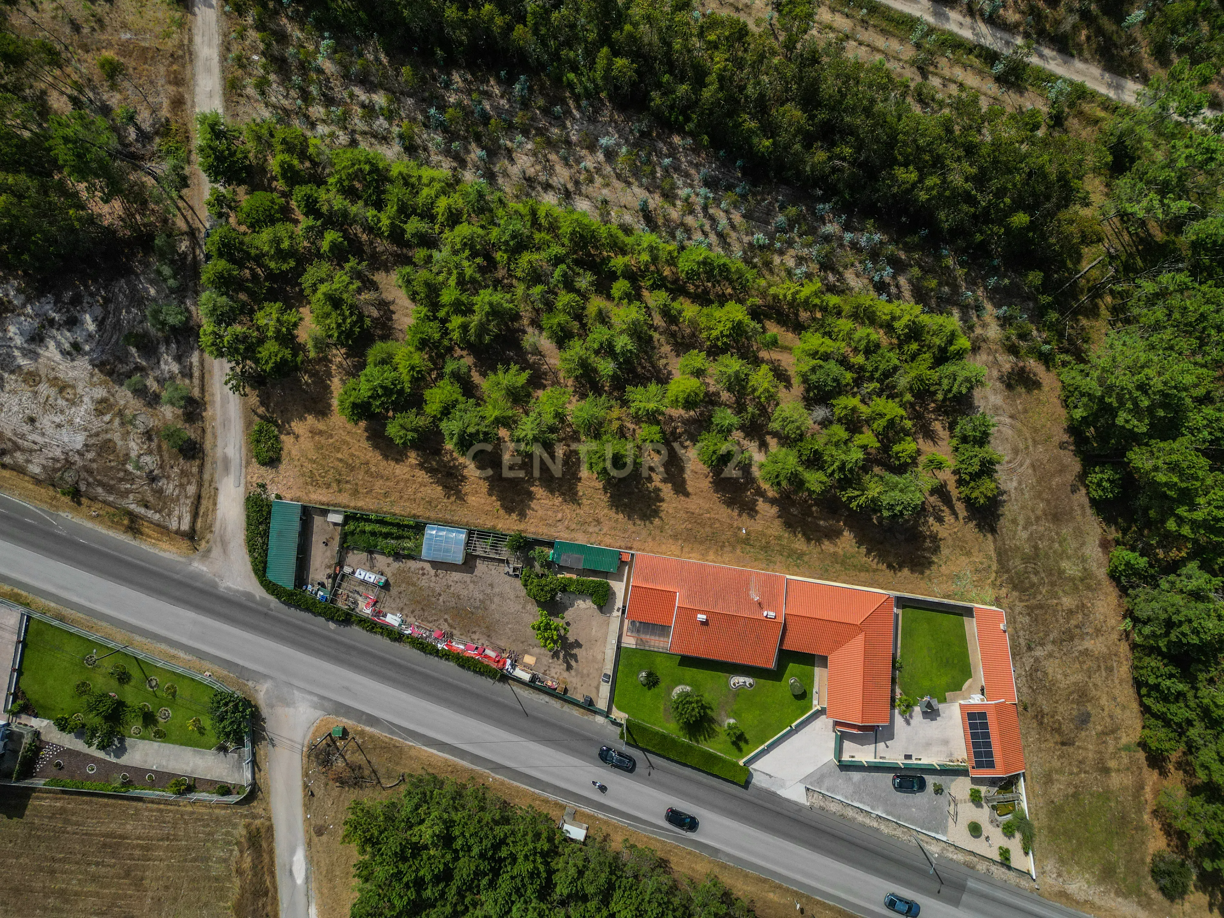 Fotografia 2 de Terreno com cerca de 3.300 m² em zona de pinhal, em Casal Novo, Quiaios – Figueira da Foz