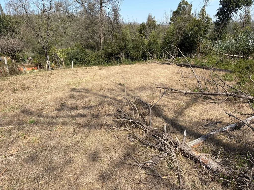 Terreno Urbano em Angeja, Albergaria a Velha - Image 9