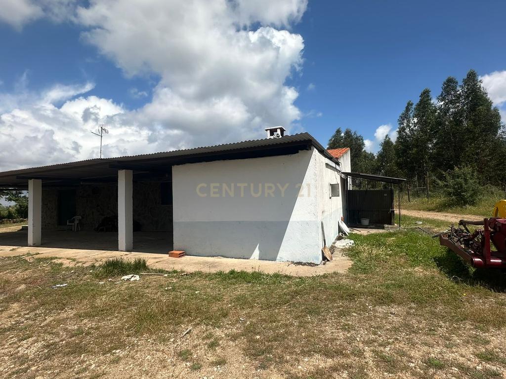 Fantástica Quinta, 5.3ha- Zebreira, Idanha-a-nova - Image 2