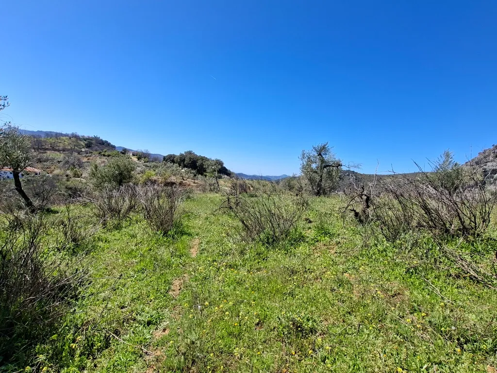 Moradia geminada de gaveto, com orientação sul, vistas para a montanha e duas propriedades rústicas com oliveiras, vinhas e castanheiros, no coração do Alto Genal. - Image 26