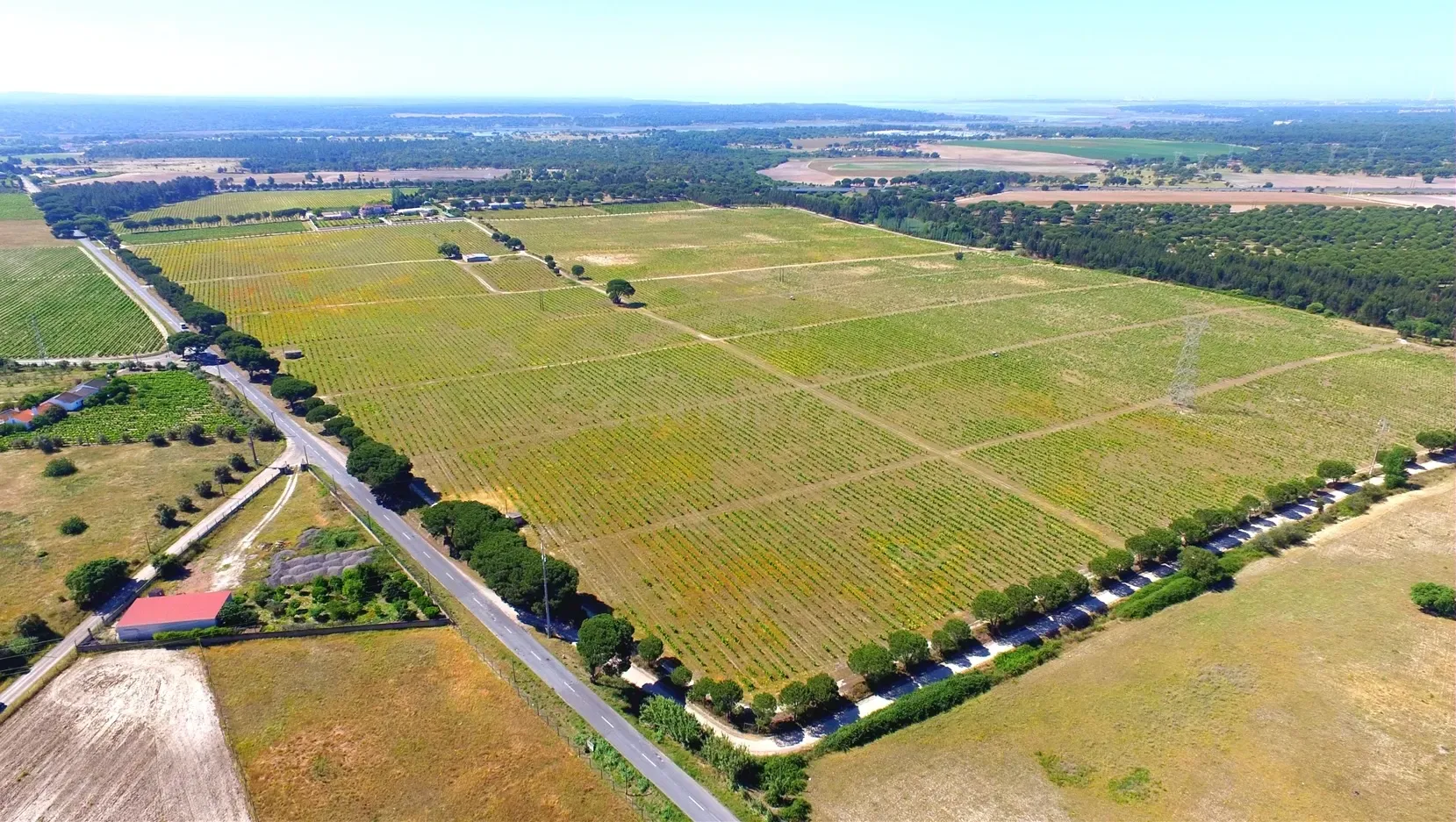 Herdade Dos Mascarenhas com 102 hectares em Palmela - Image 14