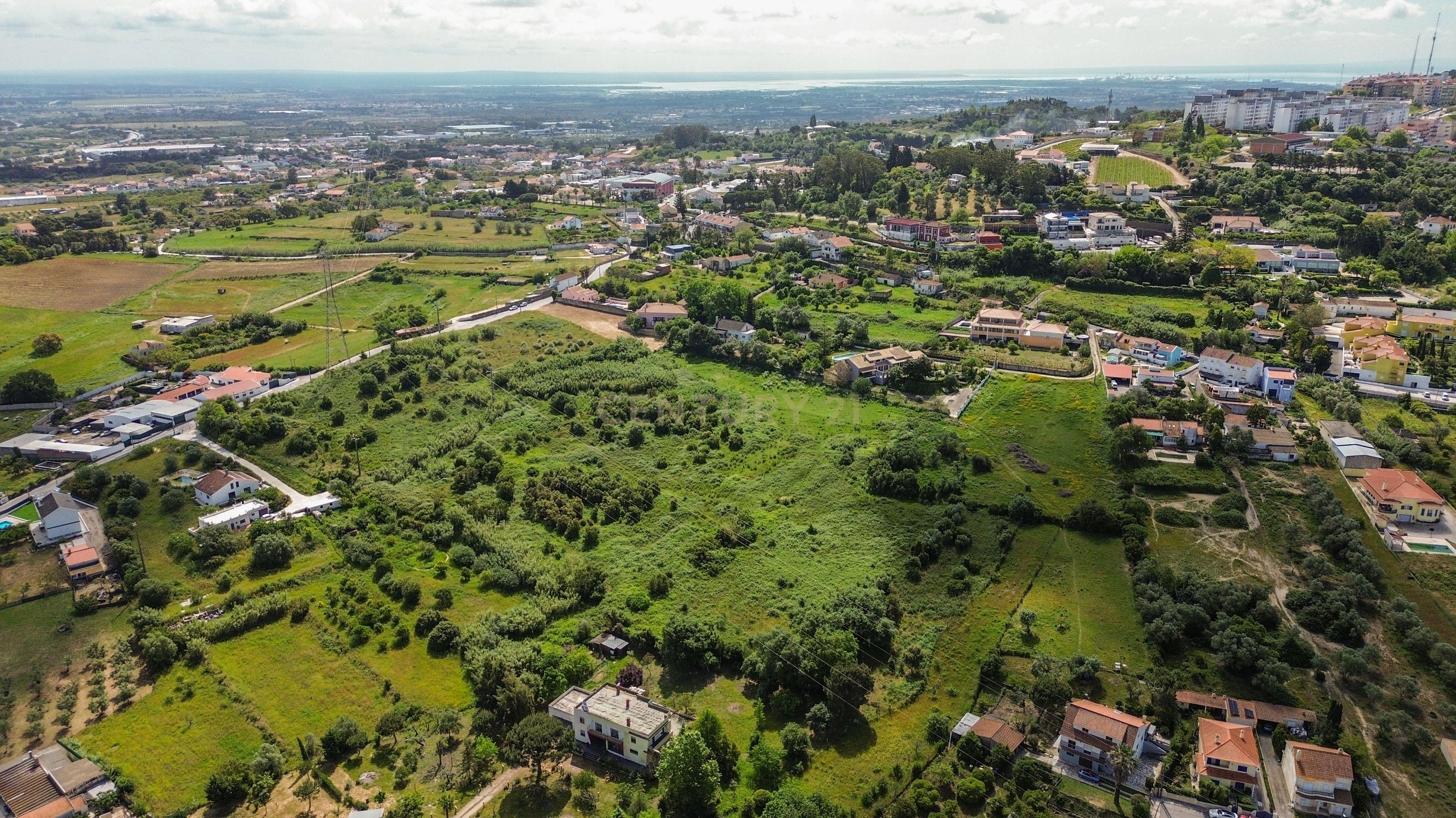 Fotografia 9 de Terreno para Loteamento – Quinta dos Carvalhos, Palmela