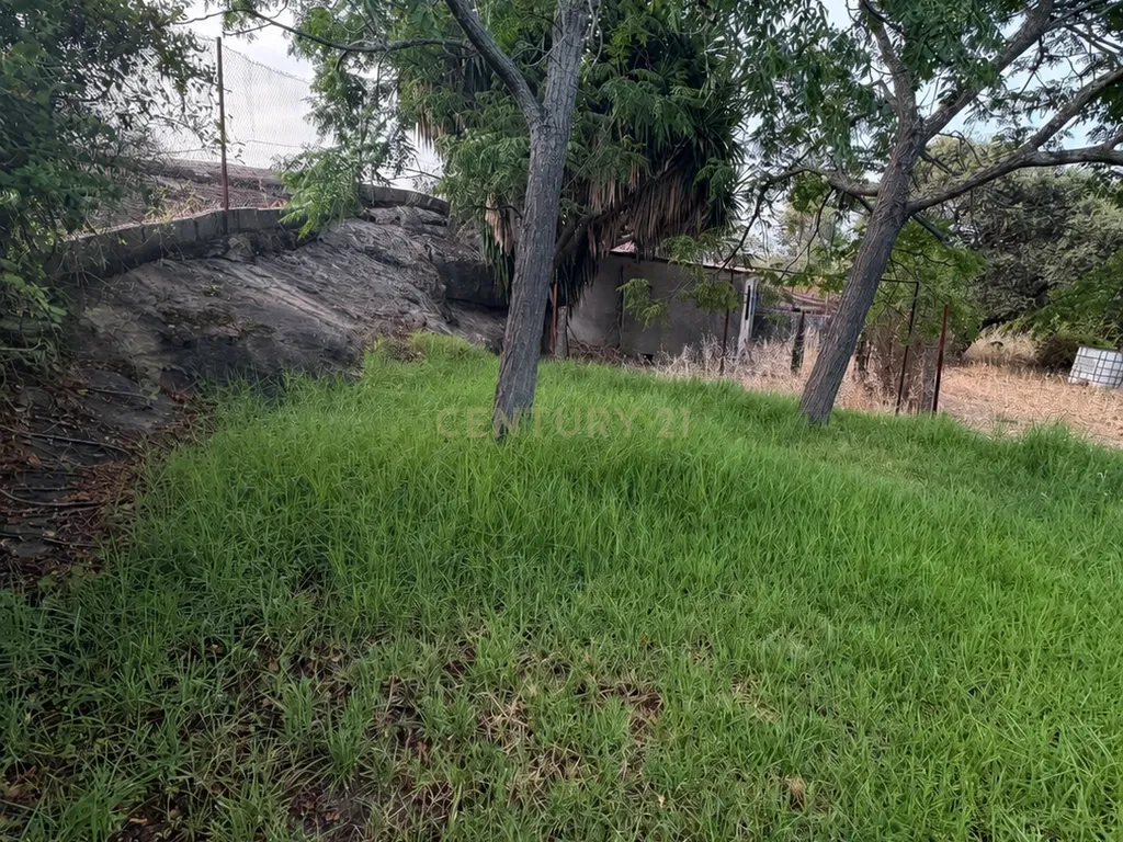 🌿 Um refúgio privado com piscina e quase 2 000 m² de natureza, a 5 minutos de Trujillo. - Image 46