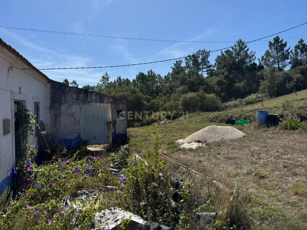 Moradia em ruína com 5.570 m² de terreno em Alvorninha - Image 16