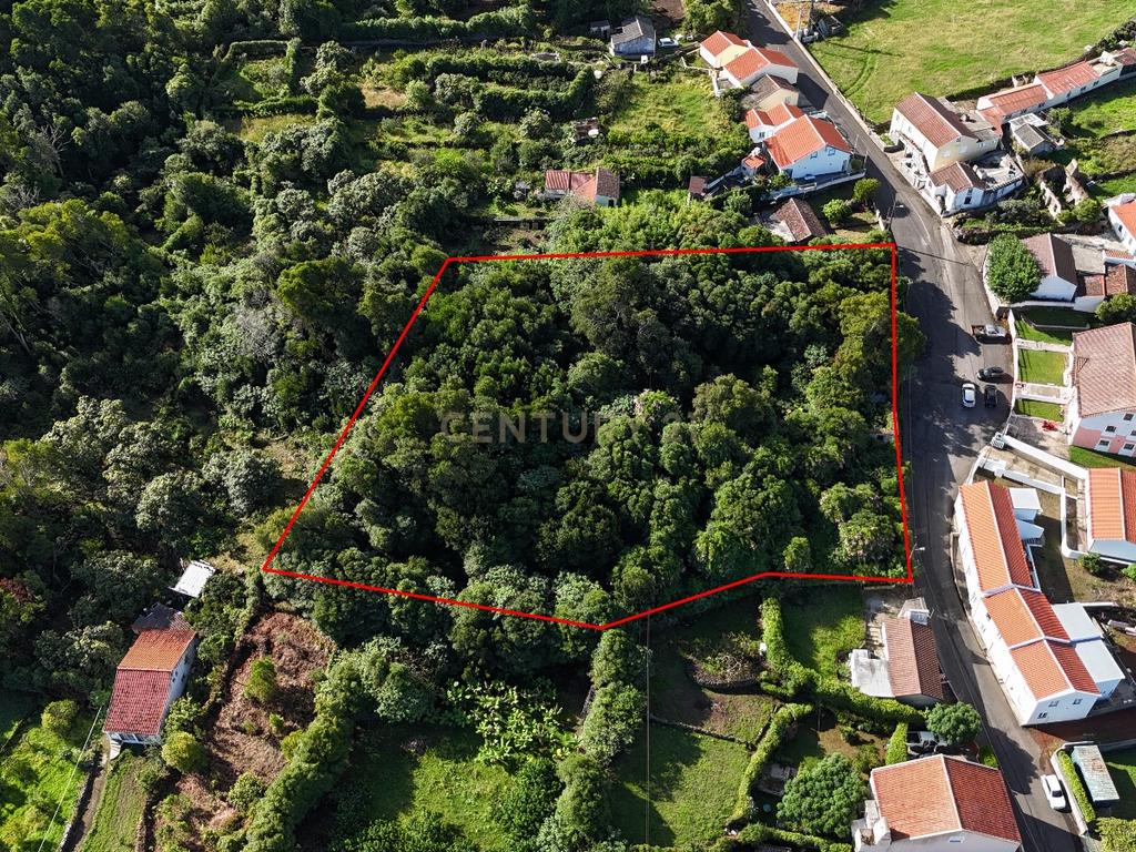 Oportunidade Única: Casa em Ruína com Amplo Terreno – Rua do Bairro de São Pedro, Biscoitos - Image 1