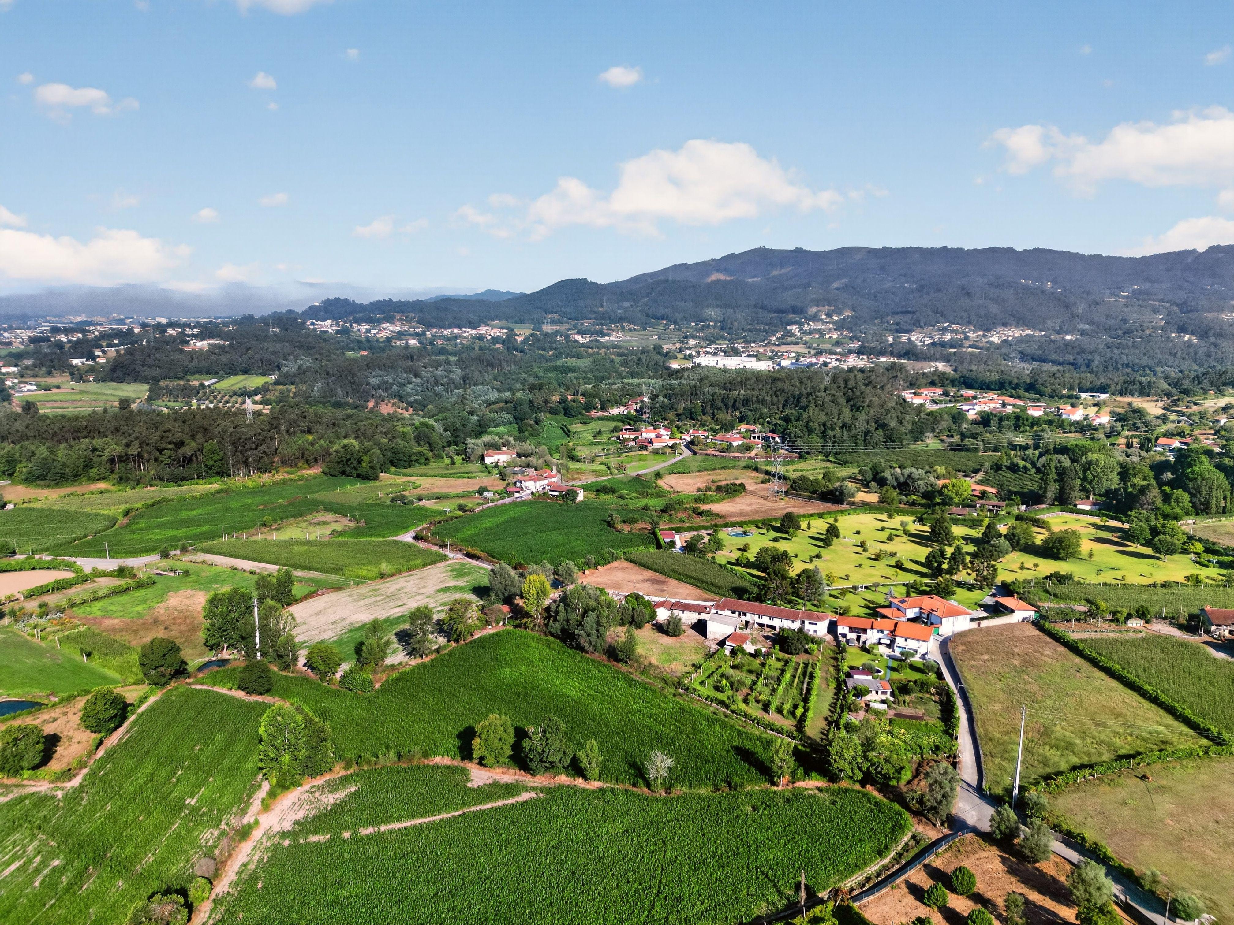 Fotografia 11 de Quinta de Verim – 22.000 m² de história, natureza e potencial